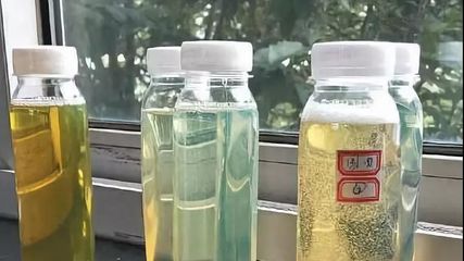 山东油品乱象调查 每吨补贴一千五背后，劣质燃料油如何偷换“好油”牟利