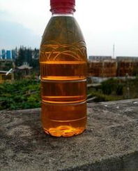 船用燃料油供应信息与价格指南